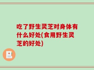 吃了野生灵芝对身体有什么好处(食用野生灵芝的好处)