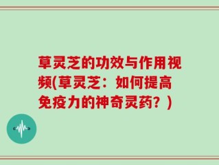 草灵芝的功效与作用视频(草灵芝：如何提高免疫力的神奇灵药？)