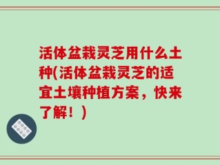 活体盆栽灵芝用什么土种(活体盆栽灵芝的适宜土壤种植方案，快来了解！)
