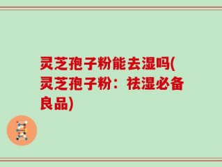 灵芝孢子粉能去湿吗(灵芝孢子粉：祛湿必备良品)