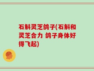 石斛灵芝鸽子(石斛和灵芝合力 鸽子身体好得飞起)