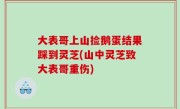 大表哥上山捡鹅蛋结果踩到灵芝(山中灵芝致大表哥重伤)