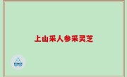 上山采人参采灵芝