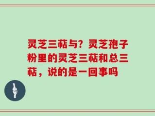 灵芝三萜与？灵芝孢子粉里的灵芝三萜和总三萜，说的是一回事吗