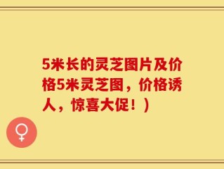 5米长的灵芝图片及价格5米灵芝图，价格诱人，惊喜大促！)