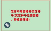 怎样不用菌棒种灵芝种子(灵芝种子无需菌棒，种植更便捷)
