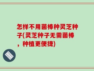 怎样不用菌棒种灵芝种子(灵芝种子无需菌棒，种植更便捷)