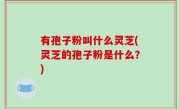 有孢子粉叫什么灵芝(灵芝的孢子粉是什么？)