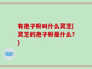 有孢子粉叫什么灵芝(灵芝的孢子粉是什么？)