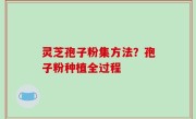 灵芝孢子粉集方法？孢子粉种植全过程