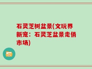 石灵芝树盆景(文玩界新宠：石灵芝盆景走俏市场)