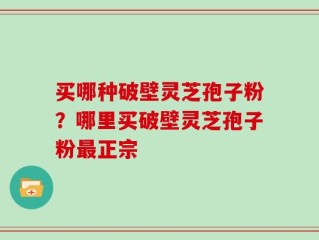 买哪种破壁灵芝孢子粉？哪里买破壁灵芝孢子粉最正宗