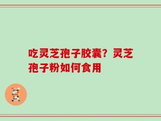 吃灵芝孢子胶囊？灵芝孢子粉如何食用