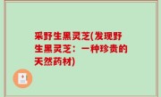 采野生黑灵芝(发现野生黑灵芝：一种珍贵的天然药材)