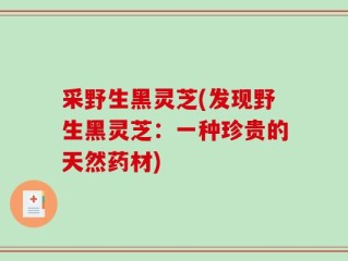 采野生黑灵芝(发现野生黑灵芝：一种珍贵的天然药材)