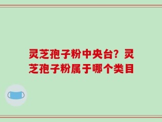 灵芝孢子粉中央台？灵芝孢子粉属于哪个类目