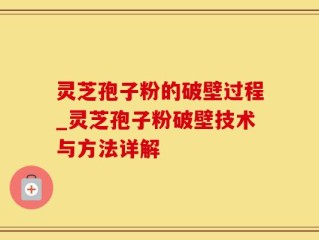 灵芝孢子粉的破壁过程_灵芝孢子粉破壁技术与方法详解