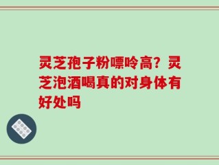 灵芝孢子粉嘌呤高？灵芝泡酒喝真的对身体有好处吗