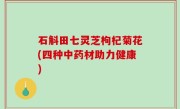 石斛田七灵芝枸杞菊花(四种中药材助力健康)