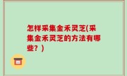 怎样采集金禾灵芝(采集金禾灵芝的方法有哪些？)
