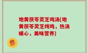 地黄茯苓灵芝鸡汤(地黄茯苓灵芝炖鸡，热汤暖心，美味营养)