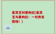 紫灵芝对黑枸杞(紫灵芝与黑枸杞：一对养生搭档！)