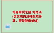 鸡骨草灵芝猪 鸡肉汤(灵芝鸡肉汤搭配鸡骨草，营养健康美味)