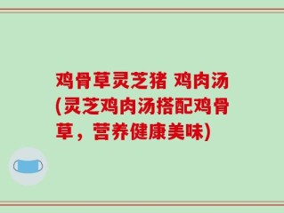 鸡骨草灵芝猪 鸡肉汤(灵芝鸡肉汤搭配鸡骨草，营养健康美味)