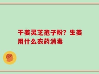 干姜灵芝孢子粉？生姜用什么农药消毒