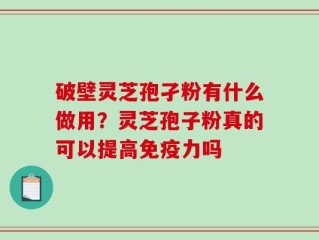 破壁灵芝孢孑粉有什么做用？灵芝孢子粉真的可以提高免疫力吗