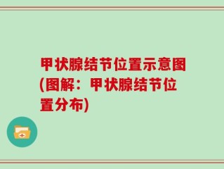 甲状腺结节位置示意图(图解：甲状腺结节位置分布)