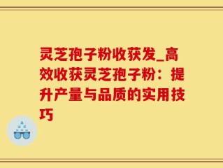 灵芝孢子粉收获发_高效收获灵芝孢子粉：提升产量与品质的实用技巧