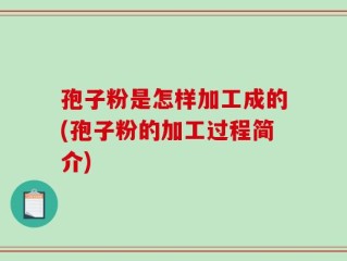 孢子粉是怎样加工成的(孢子粉的加工过程简介)
