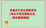 寻道大千怎么使用灵芝(寻大千灵芝使用方法，助您健康美丽)