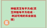 种植灵芝每平方成(灵芝种植每平方收成 - 利润可观的农业新选择)