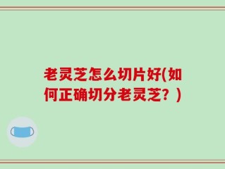 老灵芝怎么切片好(如何正确切分老灵芝？)