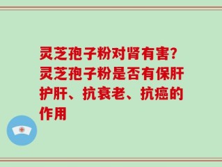 灵芝孢子粉对肾有害？灵芝孢子粉是否有保肝护肝、抗衰老、抗癌的作用
