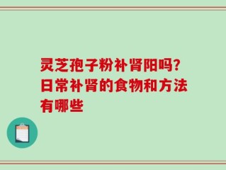 灵芝孢子粉补肾阳吗？日常补肾的食物和方法有哪些