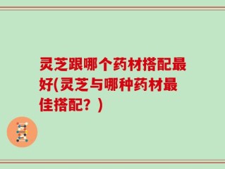 灵芝跟哪个药材搭配最好(灵芝与哪种药材最佳搭配？)