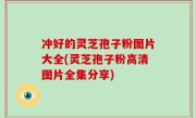 冲好的灵芝孢子粉图片大全(灵芝孢子粉高清图片全集分享)
