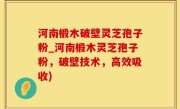 河南椴木破壁灵芝孢子粉_河南椴木灵芝孢子粉，破壁技术，高效吸收)
