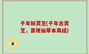 千年妖灵芝(千年古灵芝，显现仙草本真经)