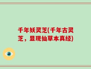 千年妖灵芝(千年古灵芝，显现仙草本真经)