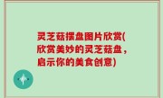 灵芝菇摆盘图片欣赏(欣赏美妙的灵芝菇盘，启示你的美食创意)