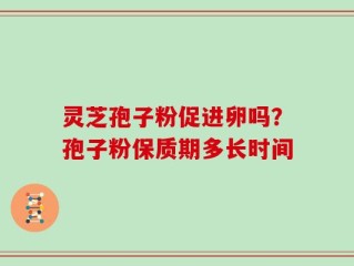 灵芝孢子粉促进卵吗？孢子粉保质期多长时间