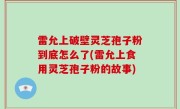 雷允上破壁灵芝孢子粉到底怎么了(雷允上食用灵芝孢子粉的故事)