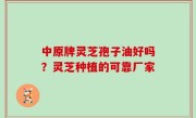中原牌灵芝孢子油好吗？灵芝种植的可靠厂家