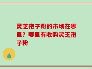 灵芝孢子粉的市场在哪里？哪里有收购灵芝孢子粉