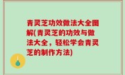 青灵芝功效做法大全图解(青灵芝的功效与做法大全，轻松学会青灵芝的制作方法)