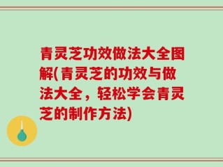 青灵芝功效做法大全图解(青灵芝的功效与做法大全，轻松学会青灵芝的制作方法)